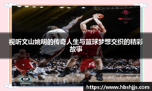视听文山姚明的传奇人生与篮球梦想交织的精彩故事